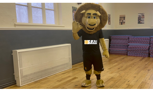 4 All Foundation Unveils New Mascot, Rory, Following Successful Children's Competition